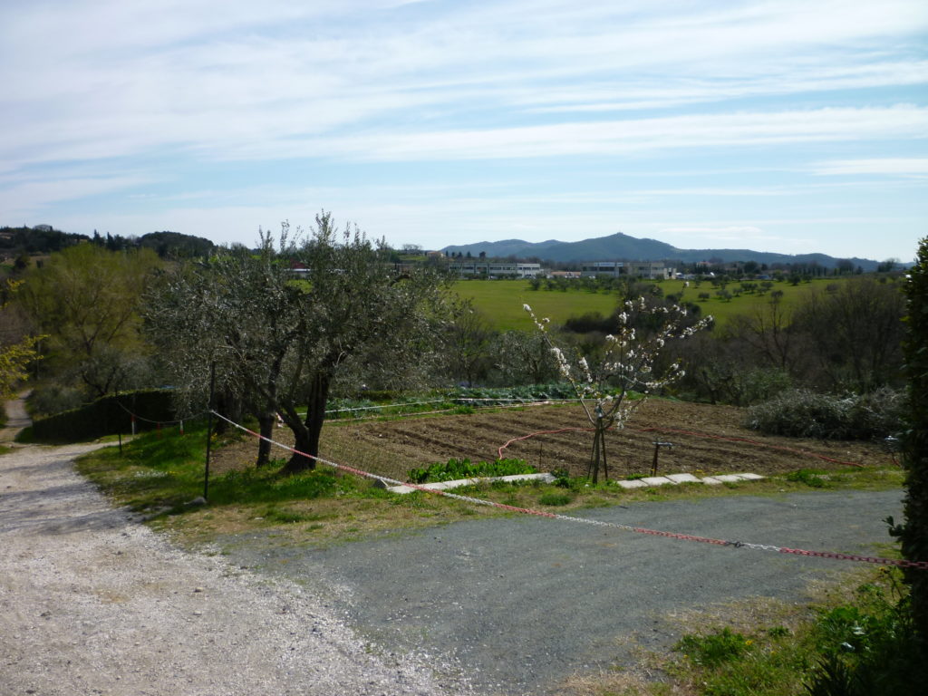 VP Immobiliare - Terreno ad uso agricolo 1950 mq