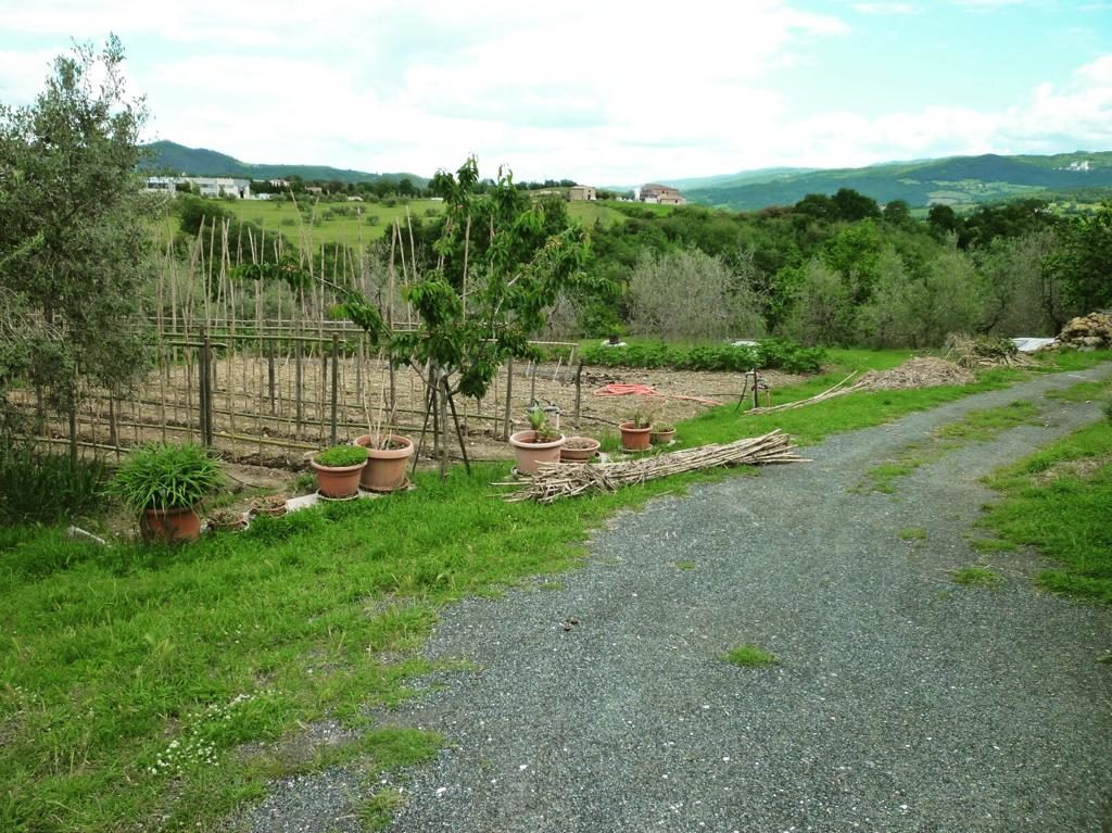 VP Immobiliare - Terreno ad uso agricolo 1950 mq