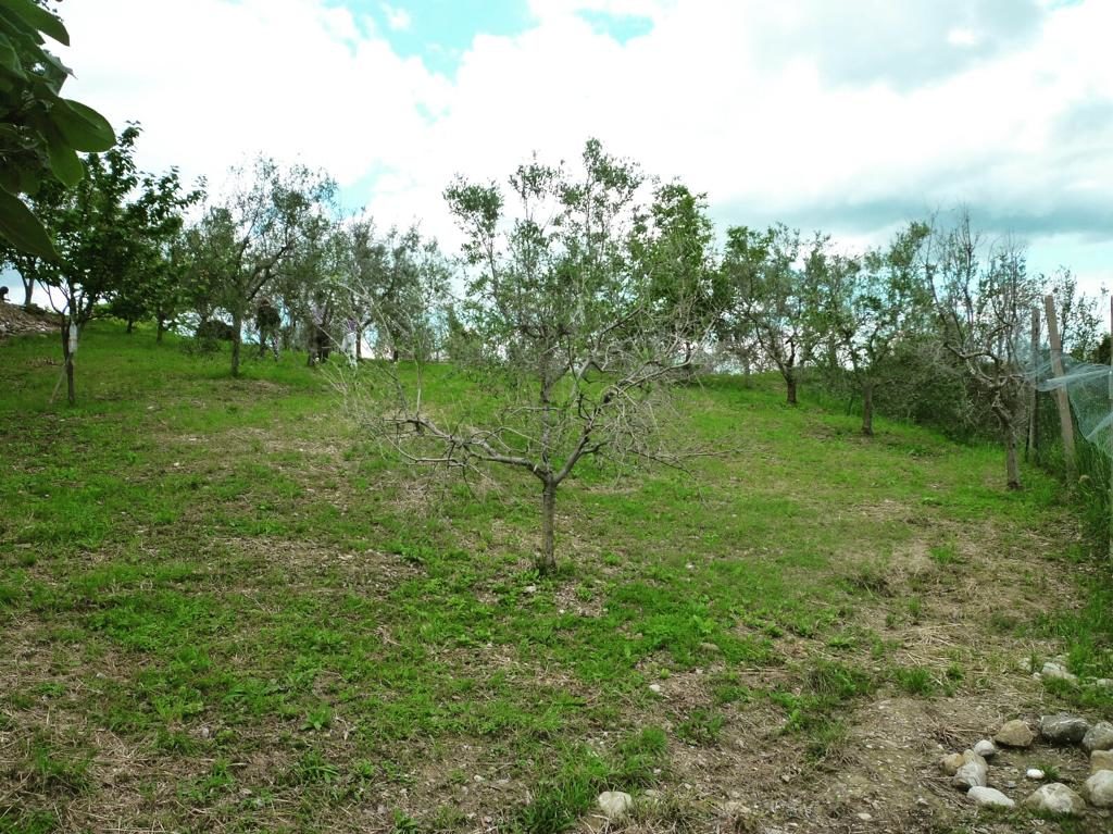 VP Immobiliare - Terreno ad uso agricolo 1950 mq